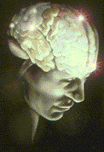 Brain as Computer