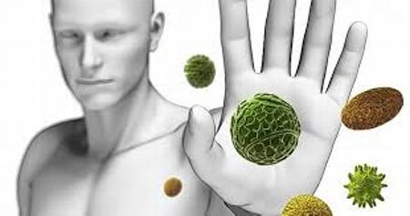 Your Immune System